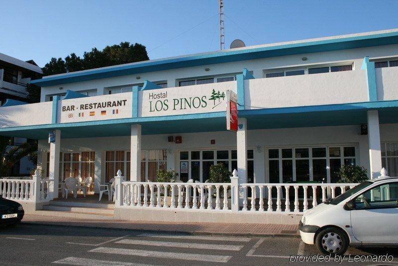 Hostal Los Pinos Es Cana エクステリア 写真